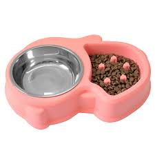 Squirrel Dog Bowl Paws Claws