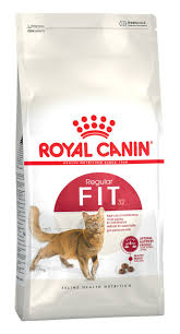 Royal Canin Fit 32 2Kg