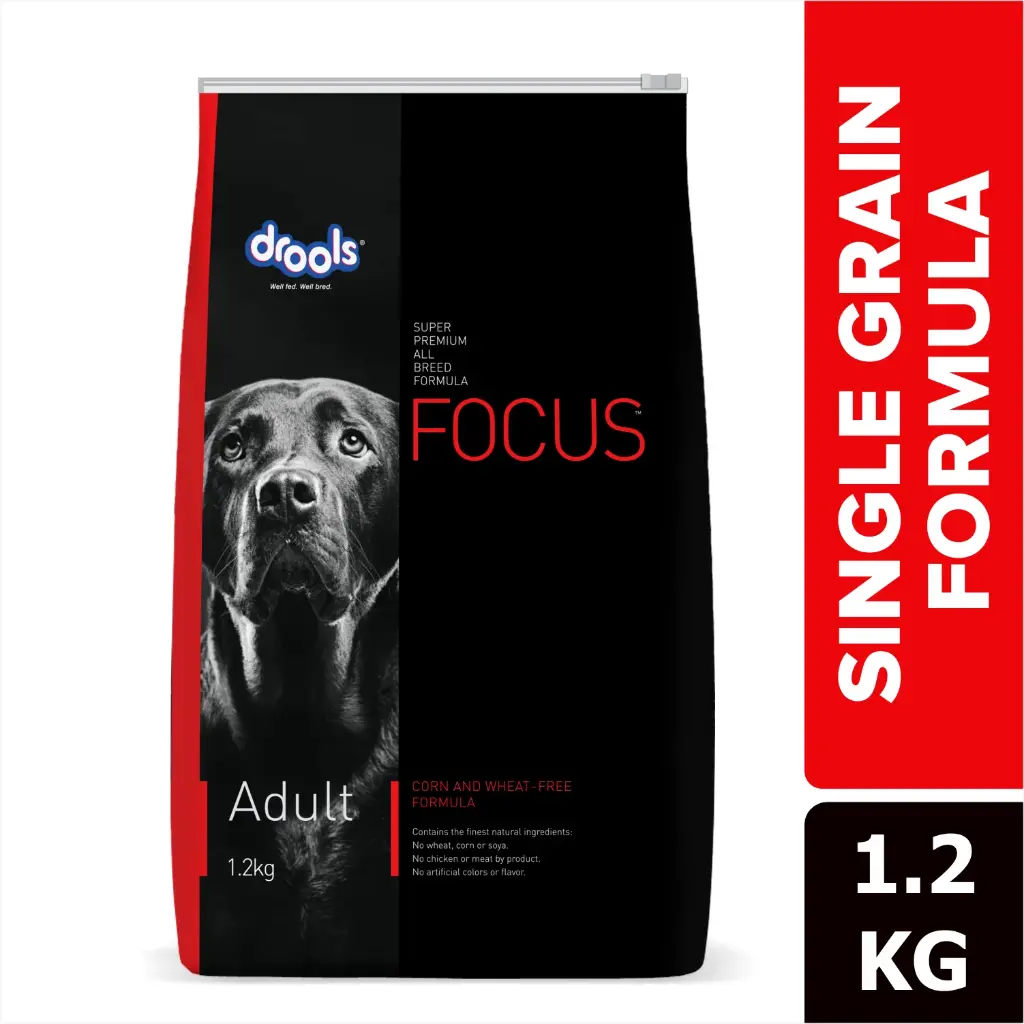 Drools Focus Adult 1.2Kg