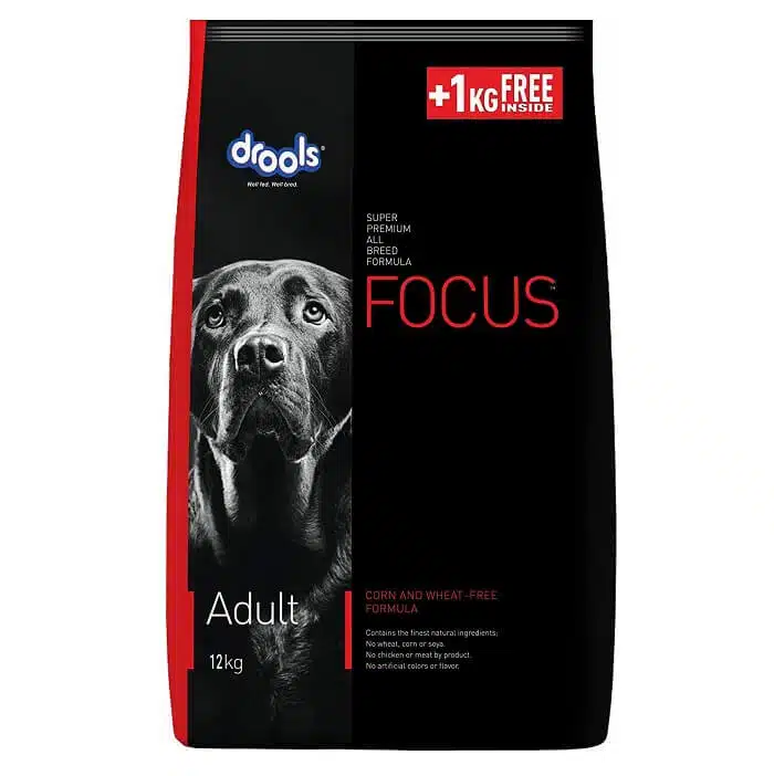 Drools Focus Adult 4Kg