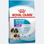 Royal Canin giant Starter 3.5Kg