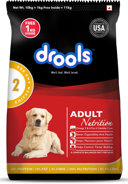 Drools adult chicken & egg 10+1kg