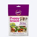 Gnawlers Puppy Snack Mini Bone 250G