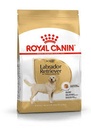 Royal Canin Labrador Retriever Adult 3Kg